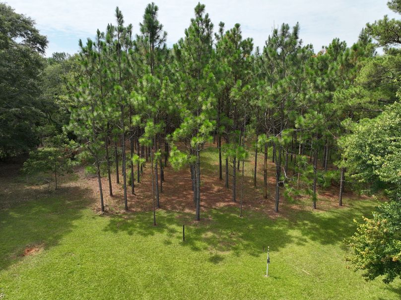 dji_fly_20230803_122948_497_1691080291256_photo