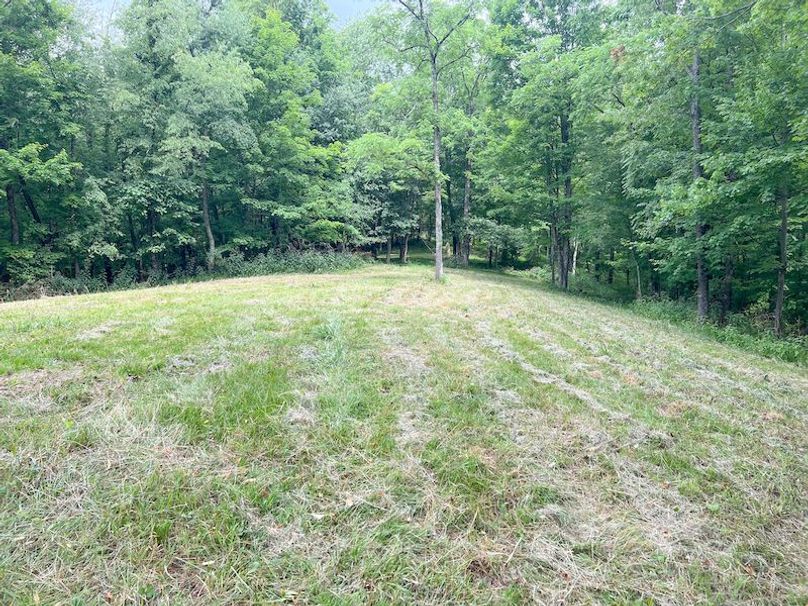 Braxton, WV 46 AC Cooper-78