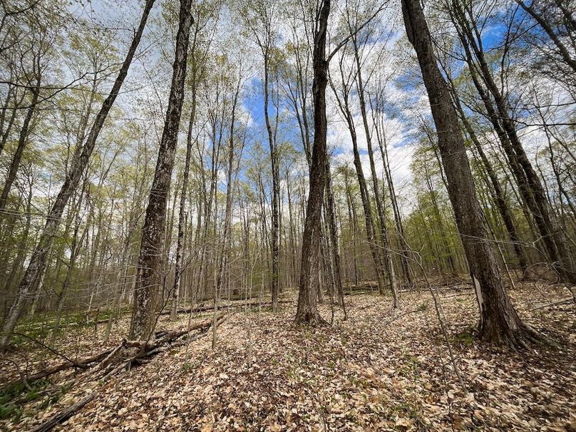 Tioga_76.65_Matyjas_Photos_4