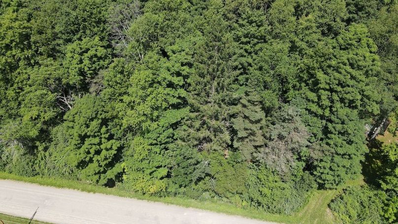 2 dji_fly_20240707_112932_450_1720366192166_photo