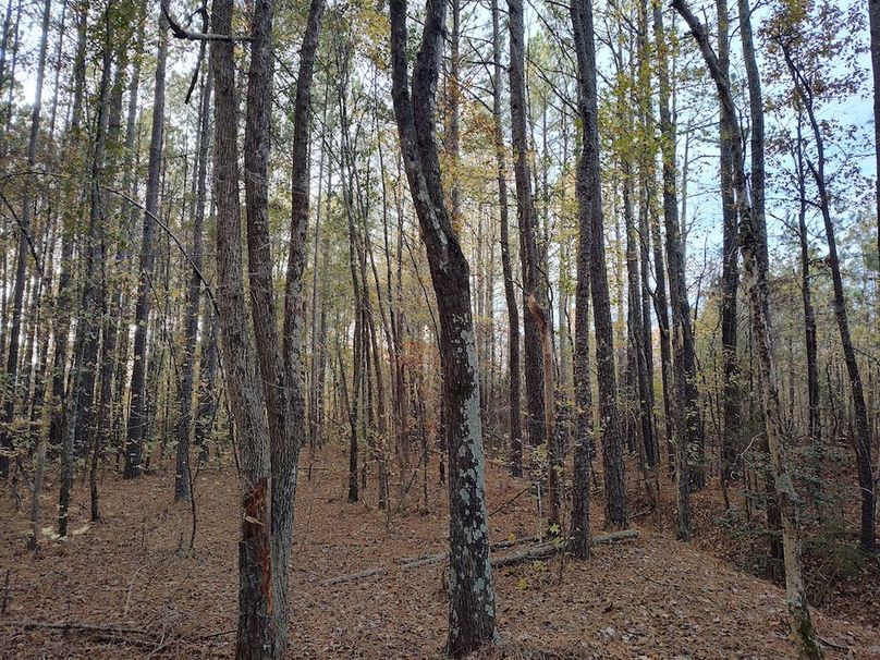 IMG_20251105_152558964_HDR