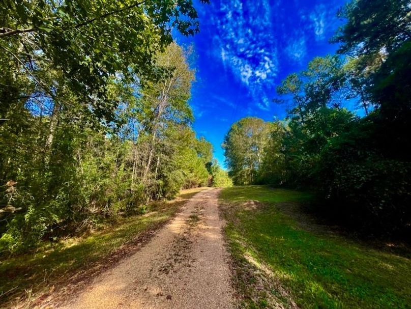 F5FB2957-D392-47B6-86AB-B7300B6D48D0_1_105_c