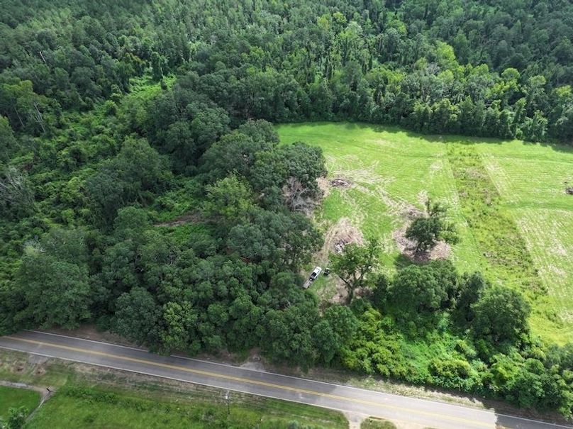 dji_fly_20250708_103850_0184_1752089900125_photo