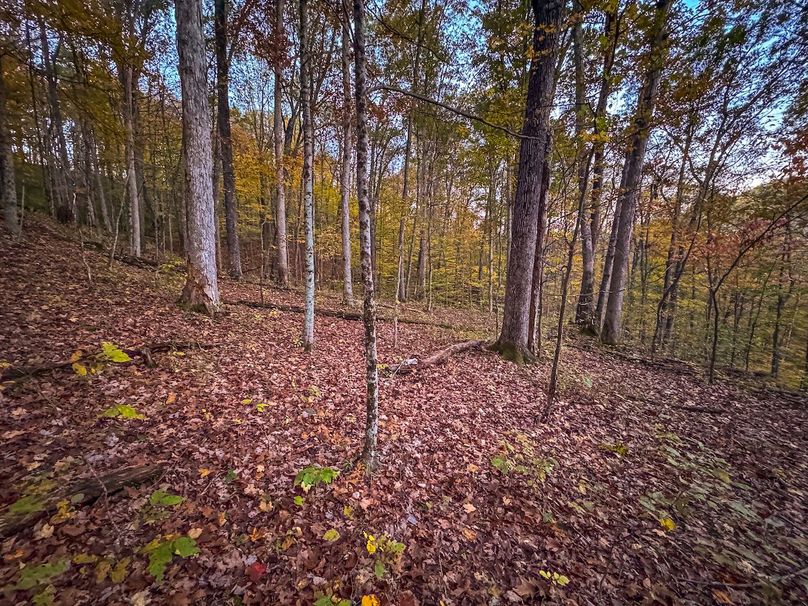 Wirt, WV 43 AC Berry-12