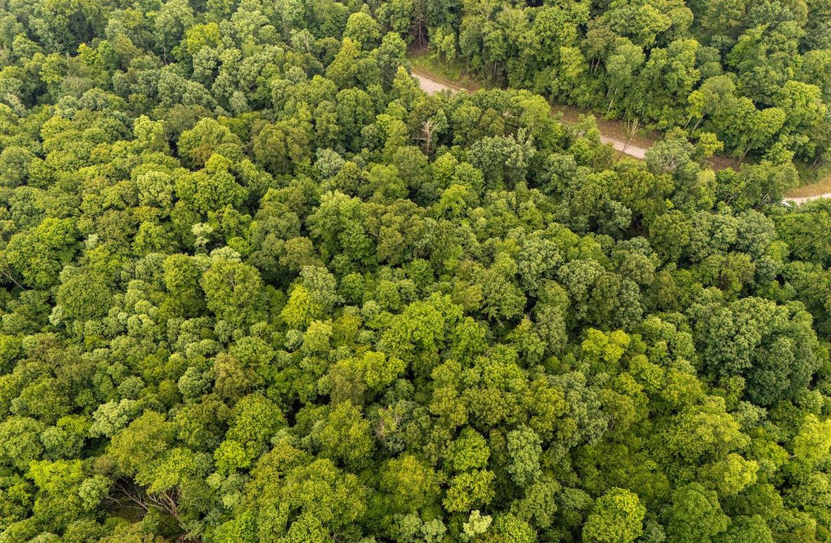 DJI_20250613051035_0384_D