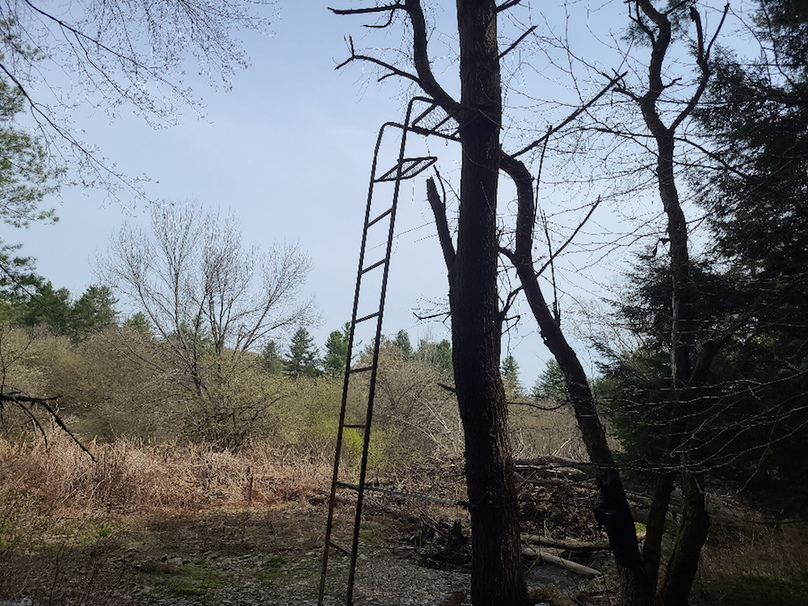 photo_126af178-a825-45c1-809a-353aaf9031fd