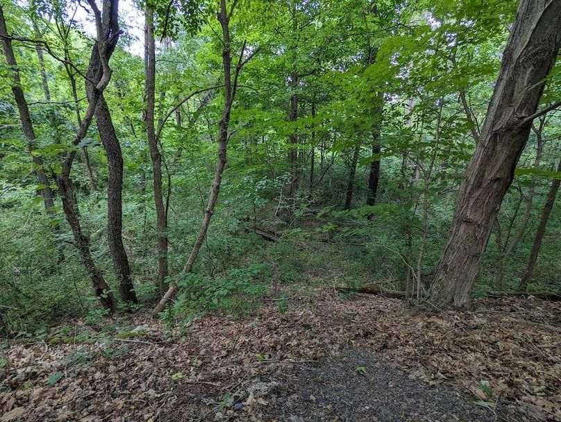 PXL_20240607_185022420