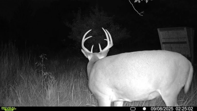 016578001722351-0-2-09082025022502-SYFW08050