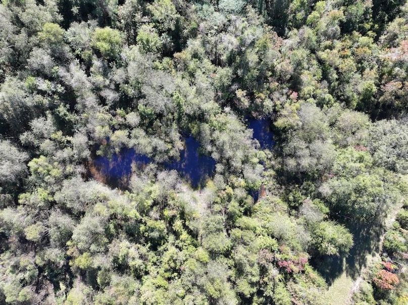 dji_fly_20251103_140904_0700_1762362213482_photo