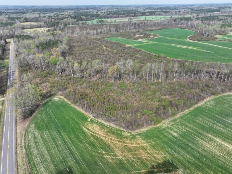 DJI_20260303062825_0523_D