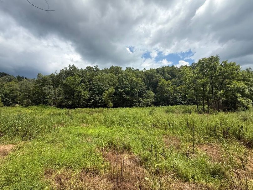 039 open field area in the main valley