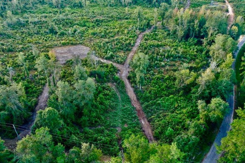 9B5CEF13-0AE3-49A7-BC0C-5FC8EFFAA908_1_105_c