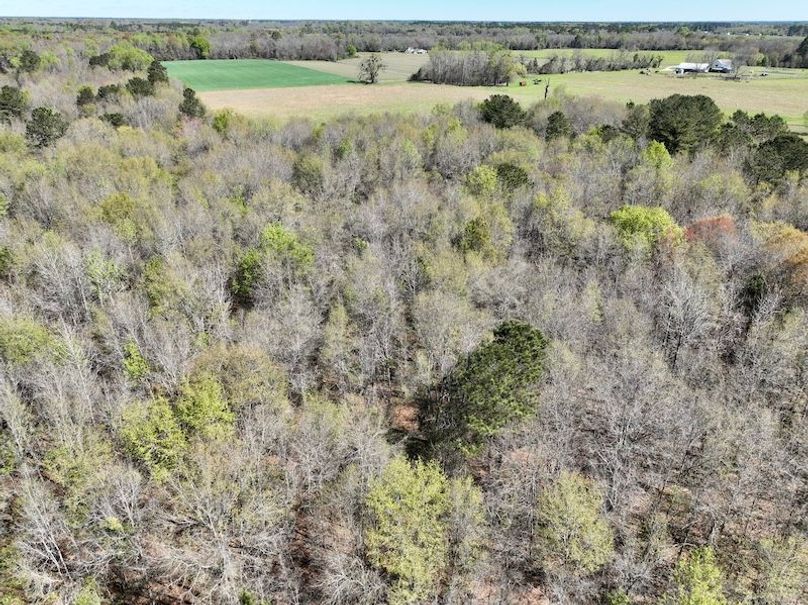 dji_fly_20260317_120126_433_1773763408140_photo