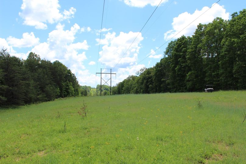 035 ground level food plot along the power lines on the south portion of the property