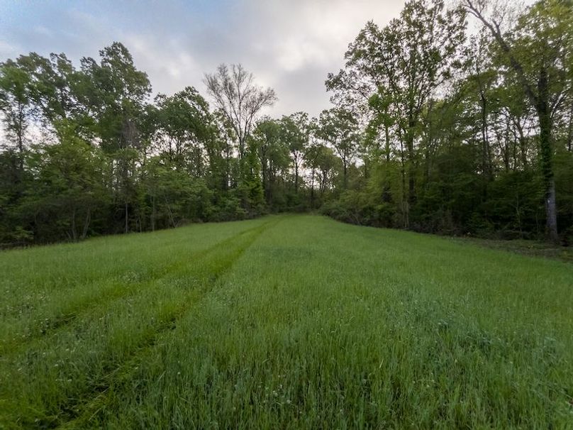 Claiborne Co-314-Fernandez-78