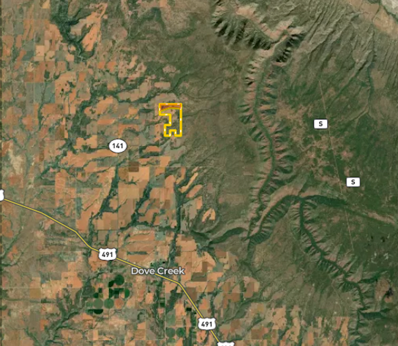 Screenshot 2026-03-04 at 2.20.53 PM