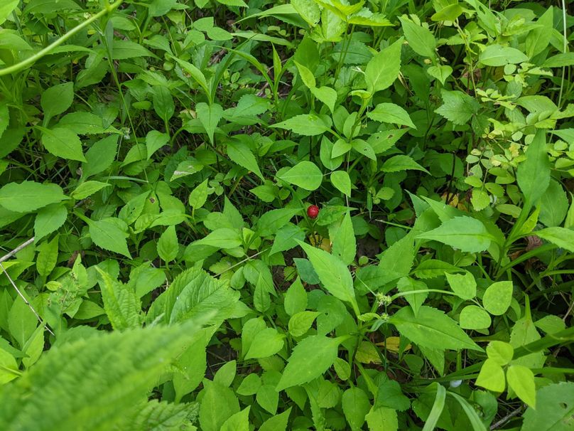 PXL_20230602_131659994