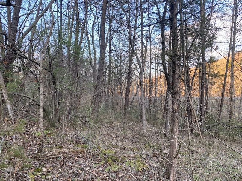 012 very gentle terrain in the south portion of the property, perfect for building lots