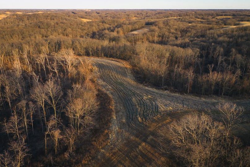 DJI_20260218164940_0655_D