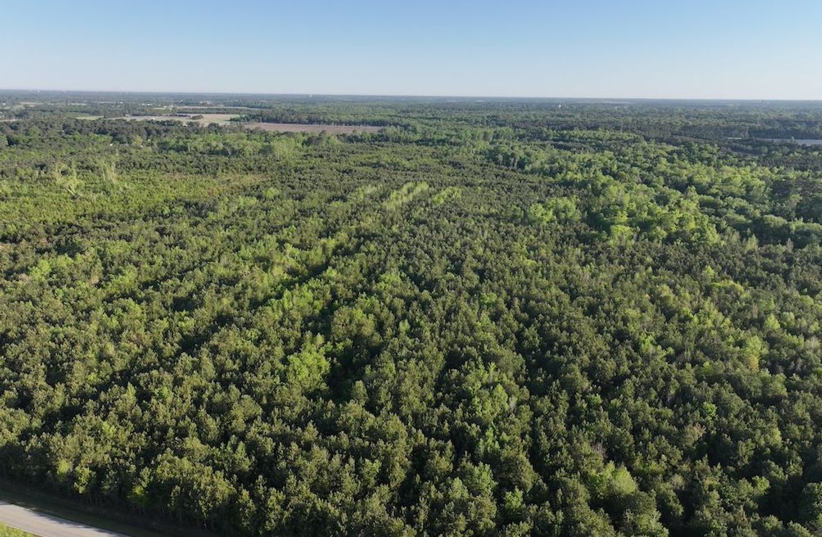 DJI_20250417072854_0005_D