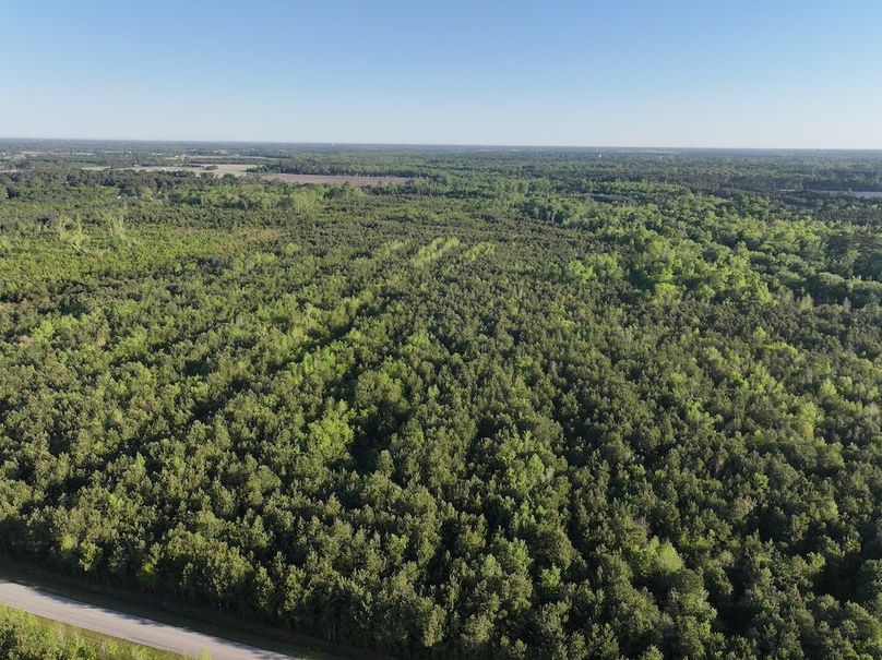 DJI_20250417072854_0005_D