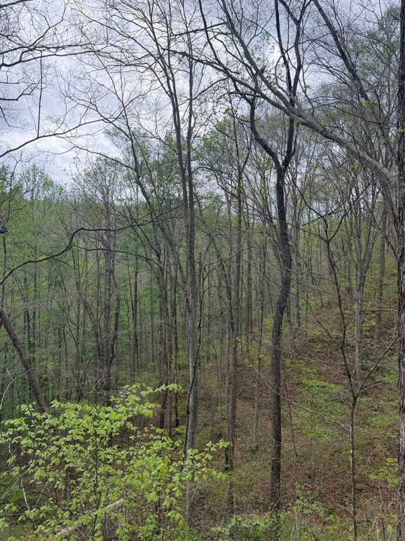 015 valley view to the south