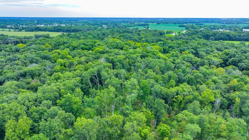 DJI_20240821111040_0017_D