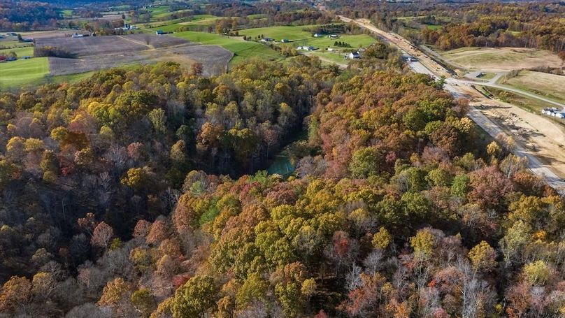 92-z 46585 Morning Star139