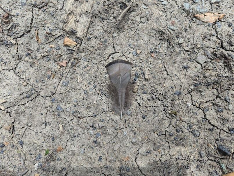 PXL_20240625_175524889