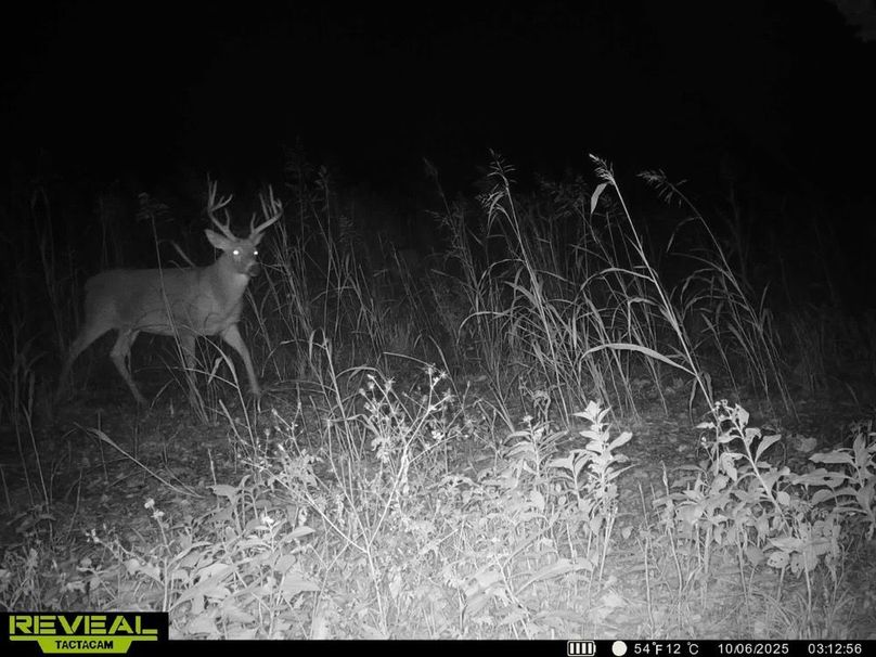 860322063943986-100-4-10062025152640-HD-SYEW2921