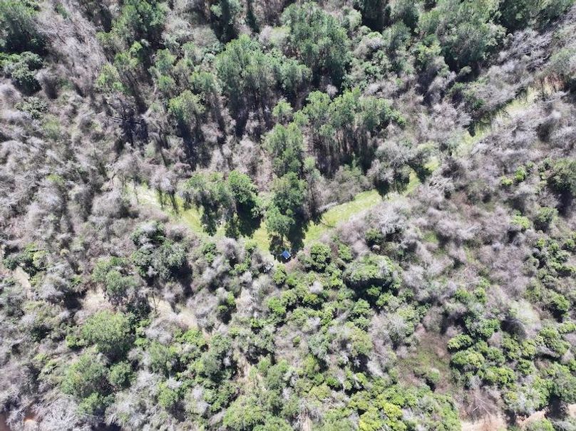 dji_fly_20260224_111622_0312_1772209054762_photo