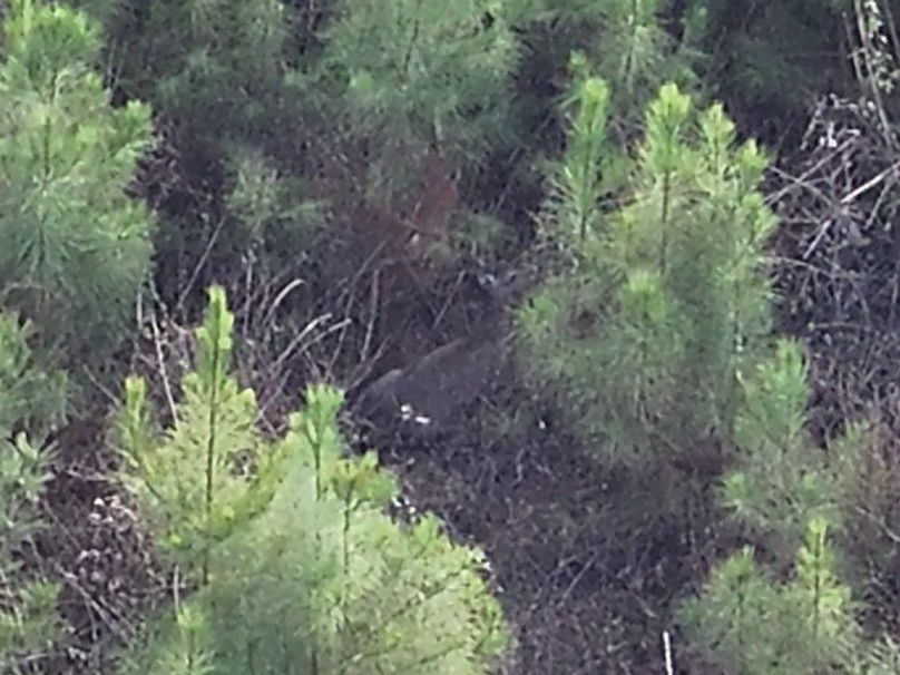 DJI_20260303145019_0019_V