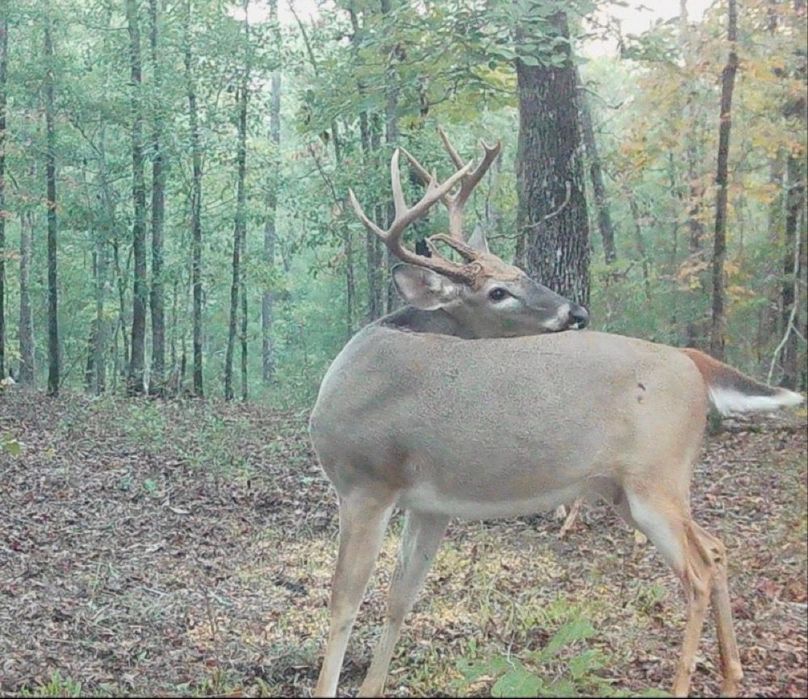 #5
