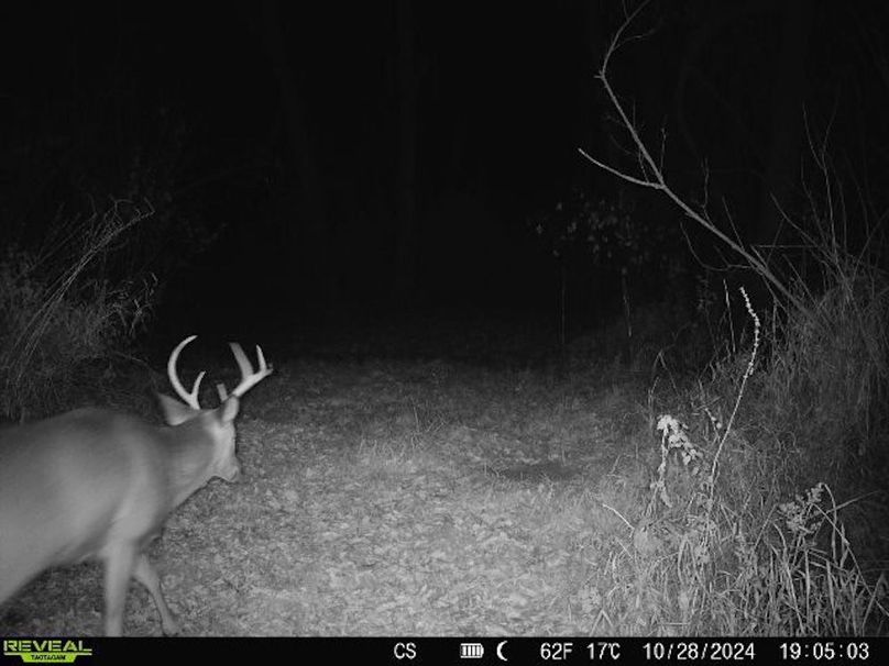 trailcam.Jackson35 - 14