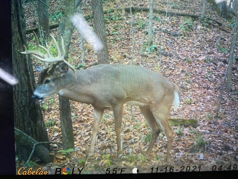 22FEB43A-F4DD-4288-9E9F-32F3B7471167_1_105_c