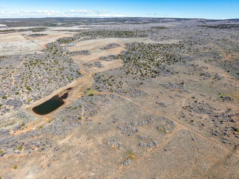 DJI_20260303122729_0063_D