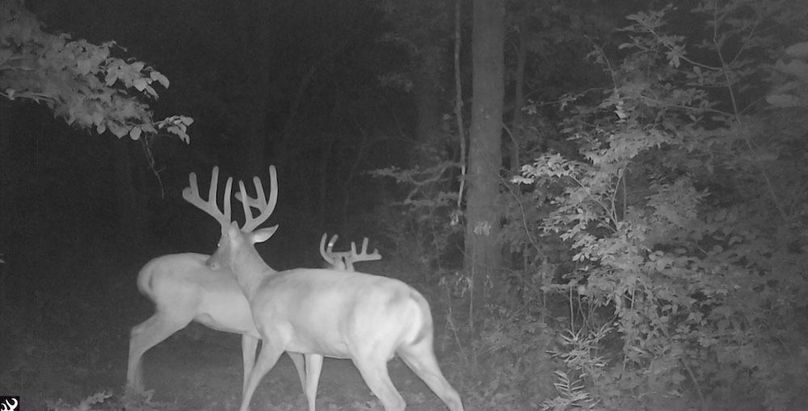 Screenshot_20240823_163804_Gallery