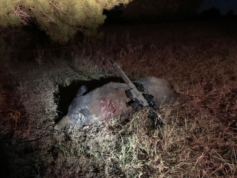 310152856_159174843414931_3450453926662711960_n