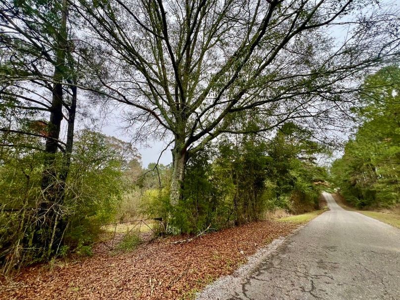 EA5C3BFD-473F-4152-A355-7BD99A232AD7_1_201_a