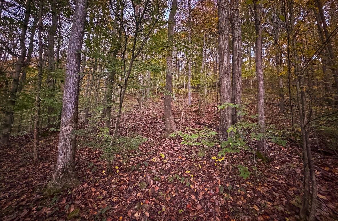 Wirt, WV 43 AC Berry-04