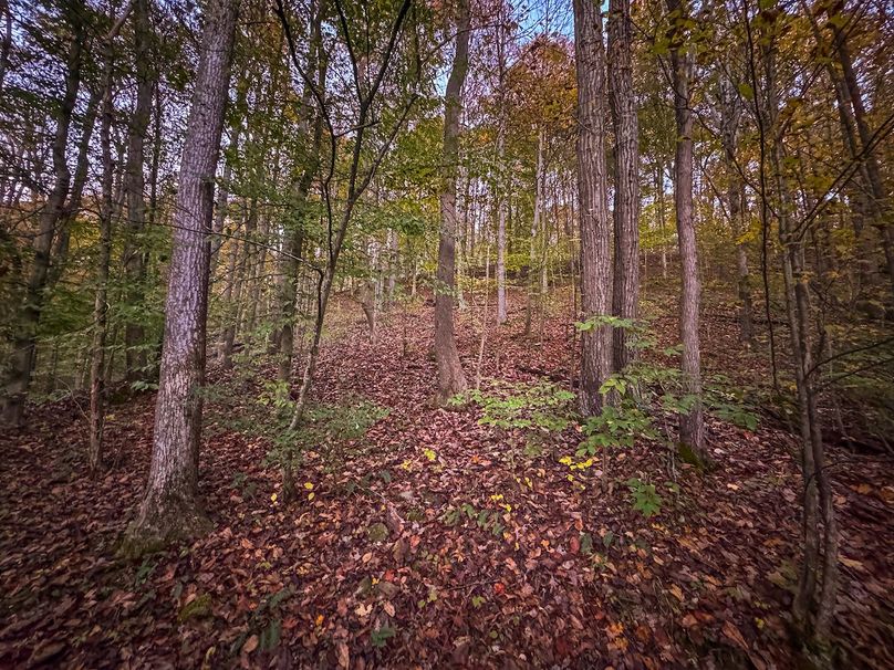 Wirt, WV 43 AC Berry-04