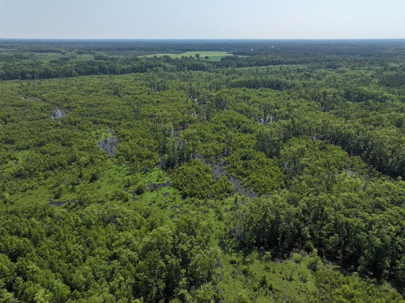 DJI_20250627103111_0117_D