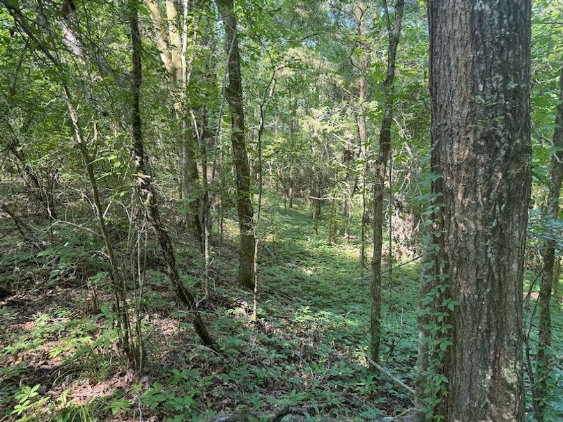 5FA53E1A-A8E2-4387-85F3-25BFA6436027