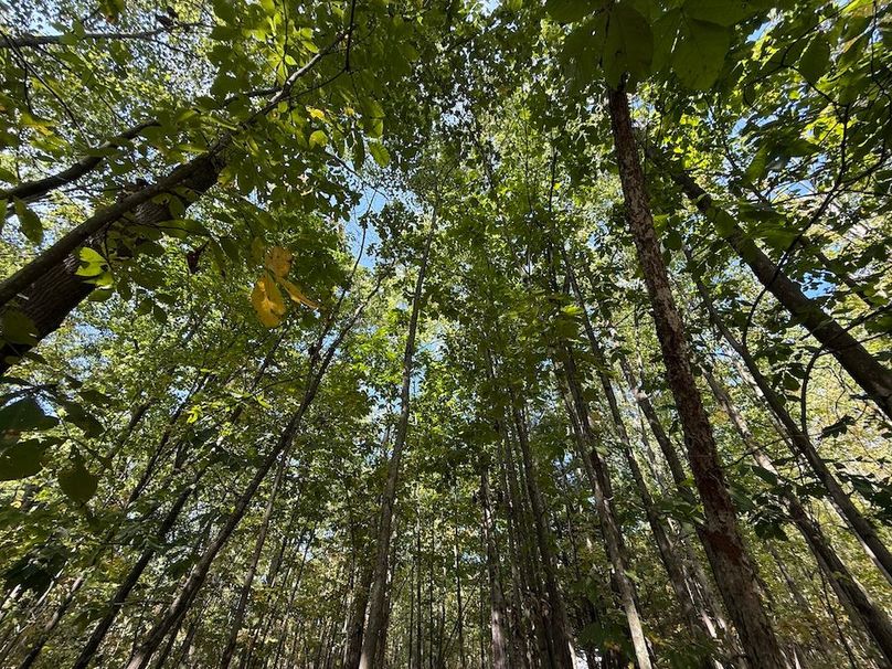 Chemung_20.82_Meyers Photo 21