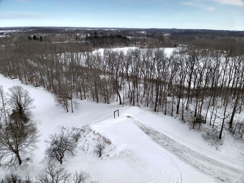 Copy of Tract 1 Buckpole & Strip of oaks  Large