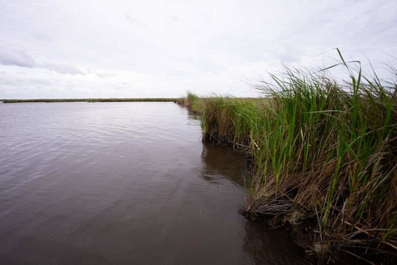 Cameron Parish LA 3,556 Pro Photo-73