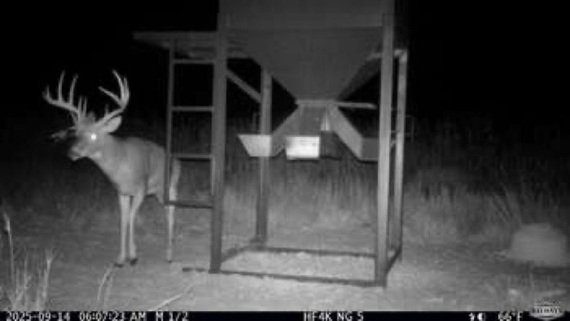 d4a6bf5c39834425f6e1f9ef073681e7-small