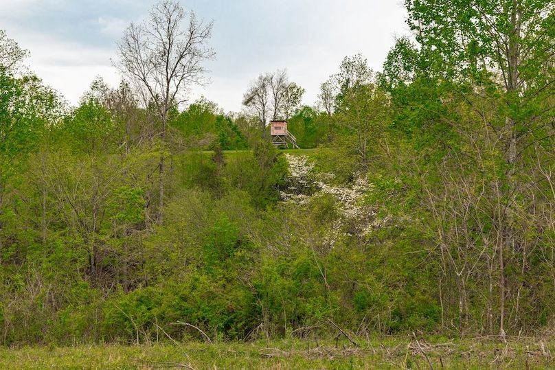 73-web-or-mls-1103 Johnny Spears Rd-68