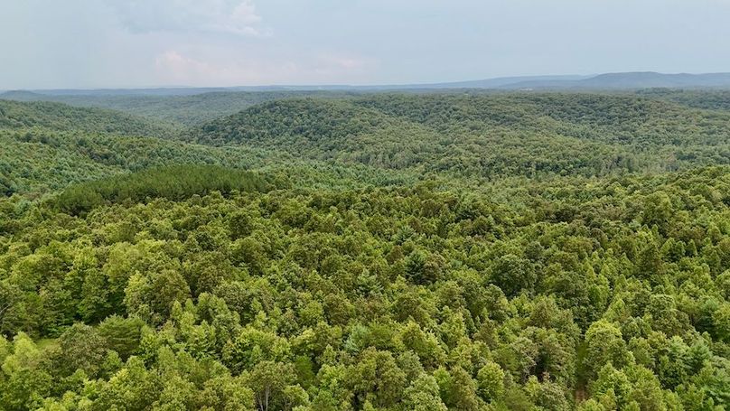 DJI_20250820162556_0048_D