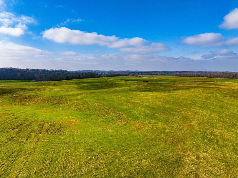 Henry 137 Miller-24-2